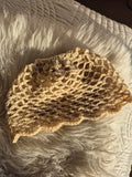 Mesh Hat